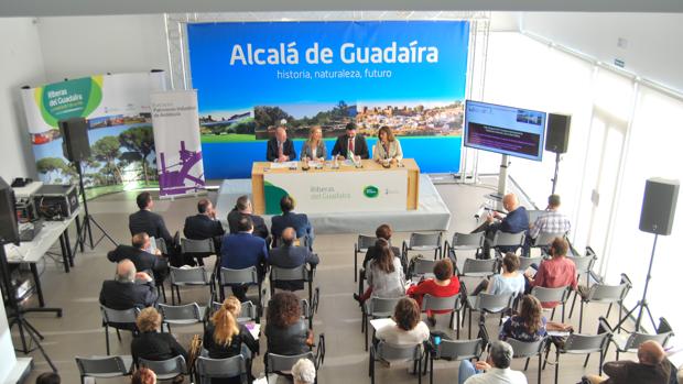 Arquitectos, ingenieros e historiadores participan en las jornadas que se celebran en Alcalá